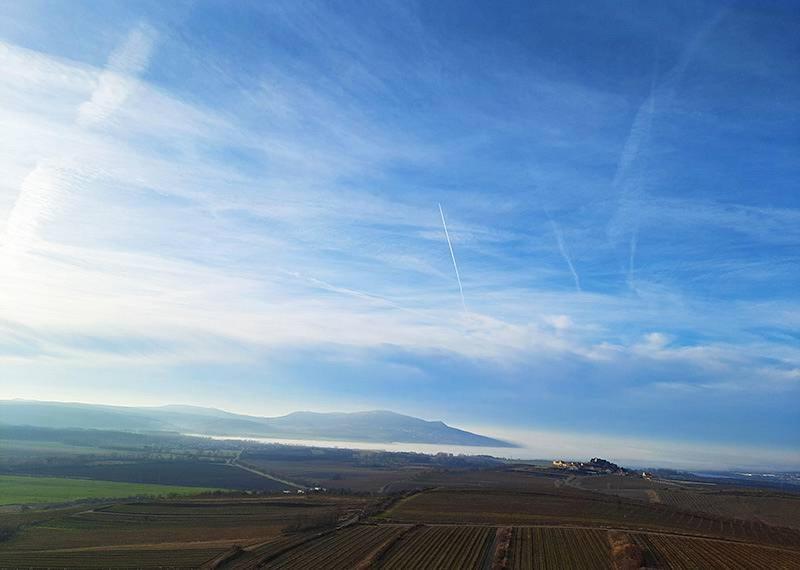 Velké Bílovice Sklep Vino Strycek旅馆 外观 照片