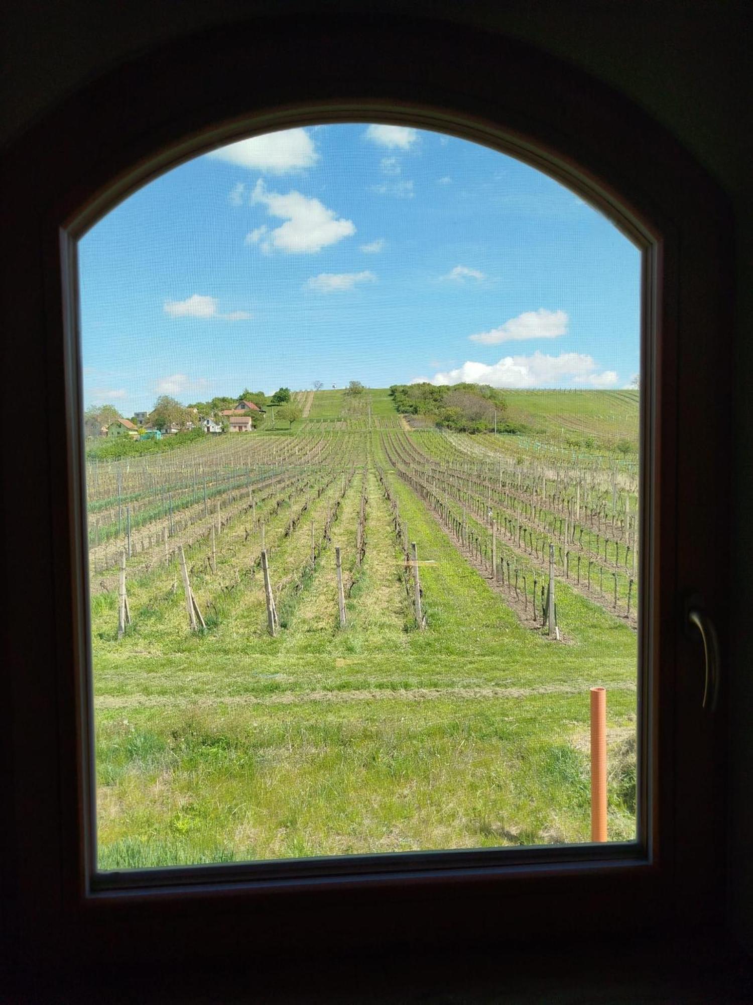 Velké Bílovice Sklep Vino Strycek旅馆 外观 照片